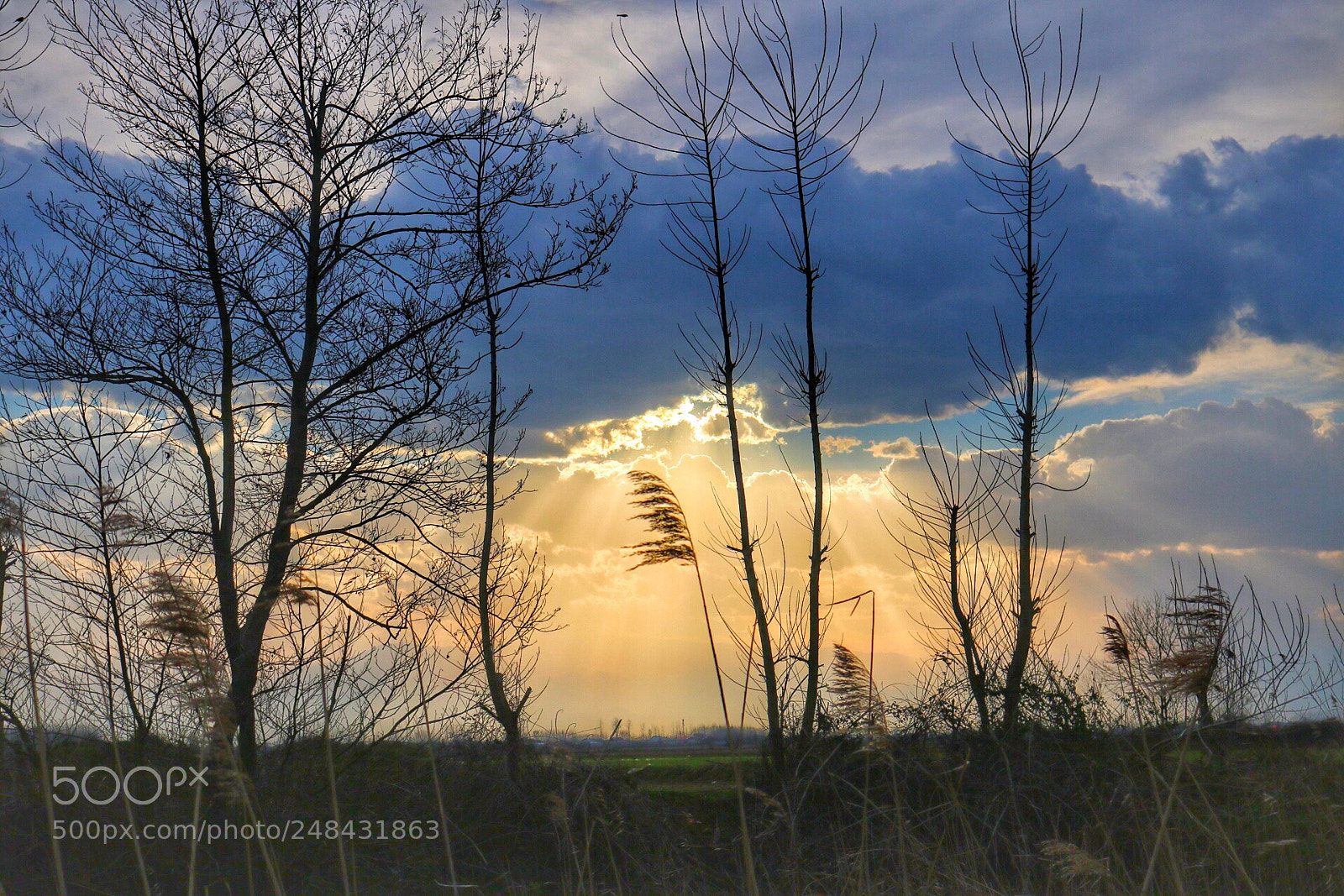 Canon EOS 750D (EOS Rebel T6i / EOS Kiss X8i) sample photo. Dramatic sky2 photography