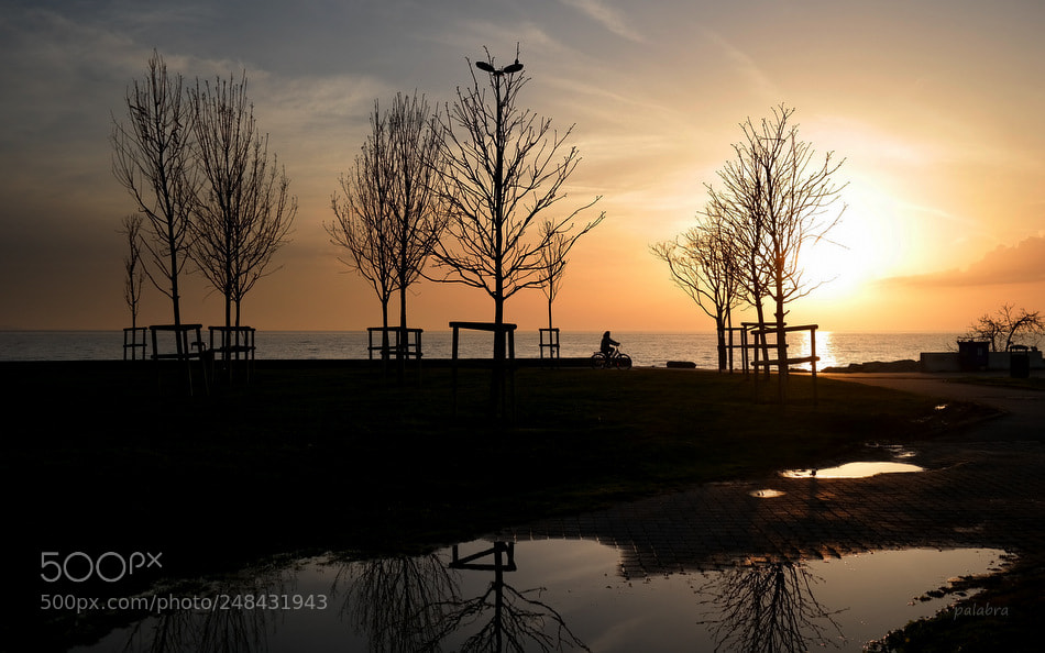 Samsung NX300 sample photo. ... photography
