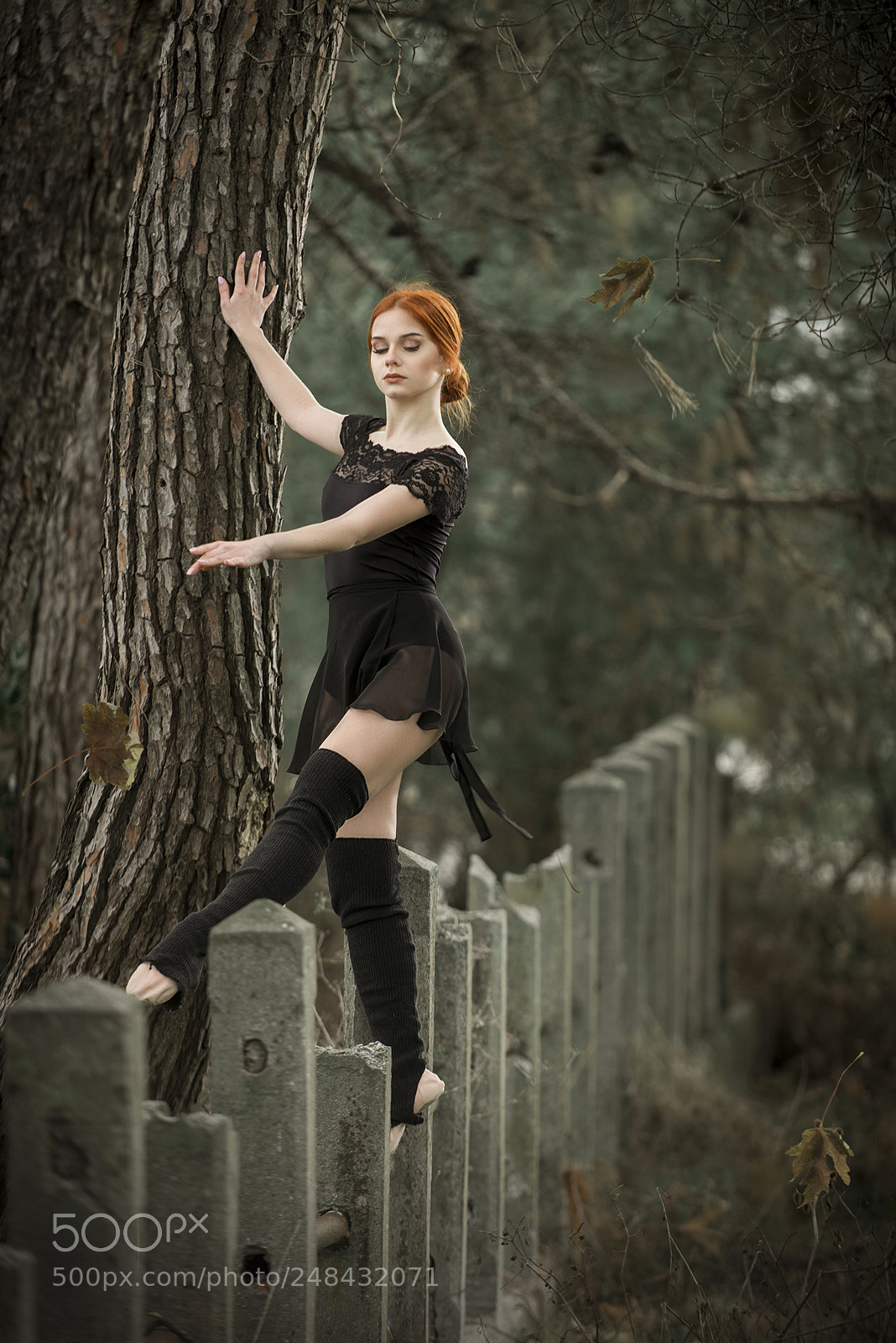 Nikon D800 sample photo. Ballerine... photography