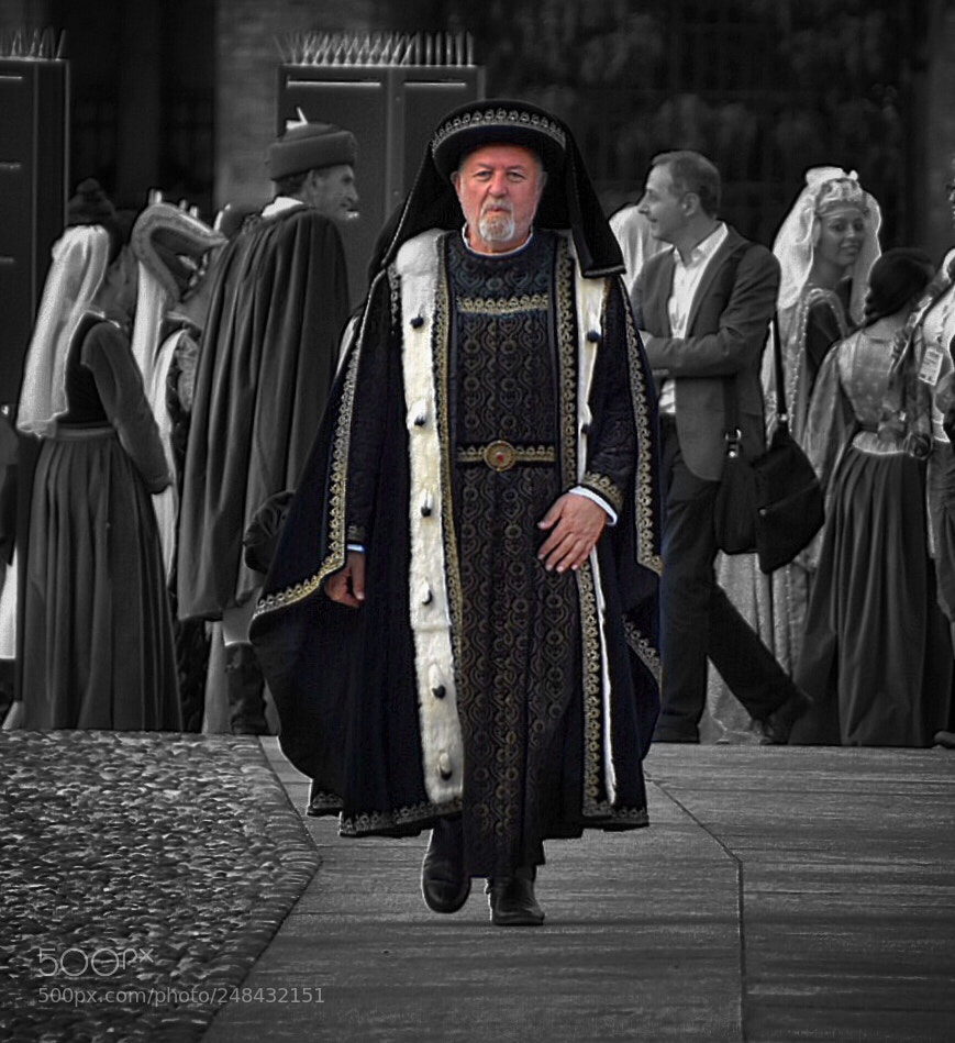 Nikon D7200 sample photo. The king.. photography