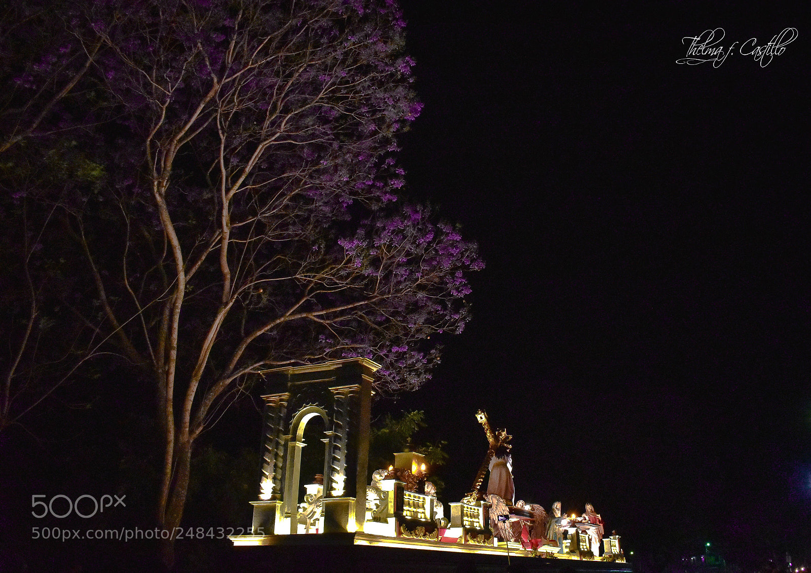 Nikon D5600 sample photo. Entre jacarandas va... photography