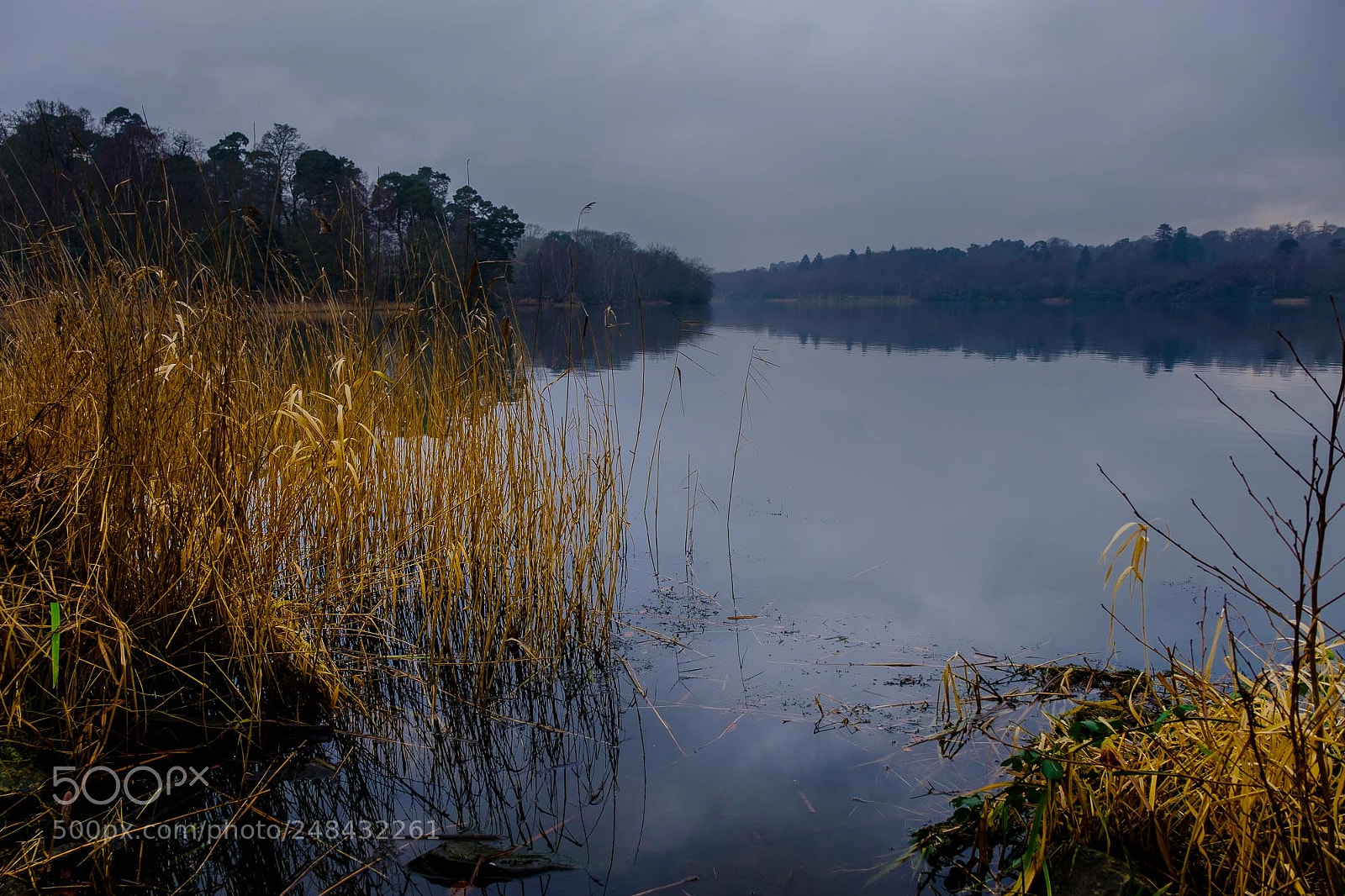 Fujifilm X-Pro2 sample photo. Lakeside photography