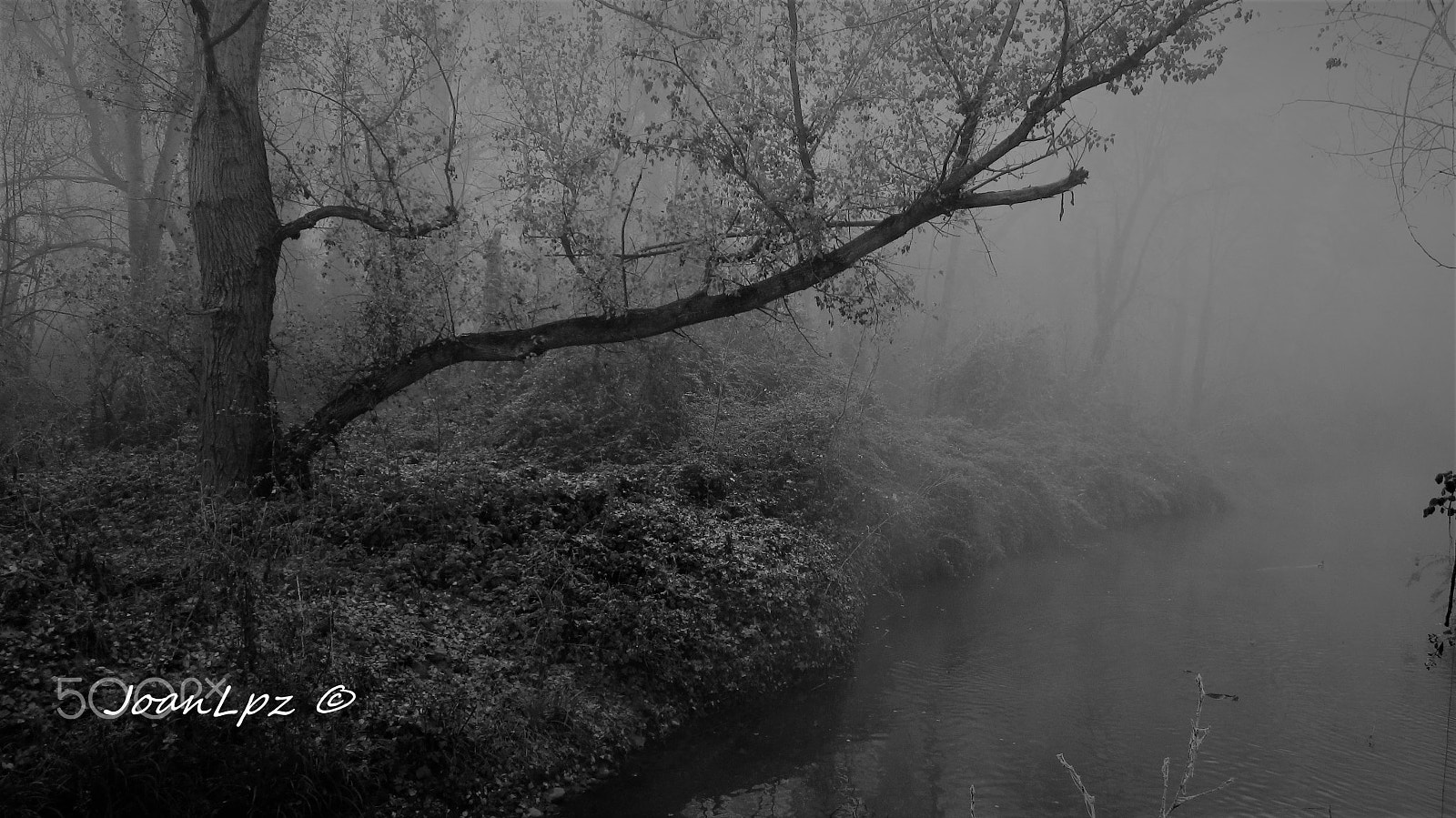 Canon IXUS 117 HS sample photo. Niebla en el río photography