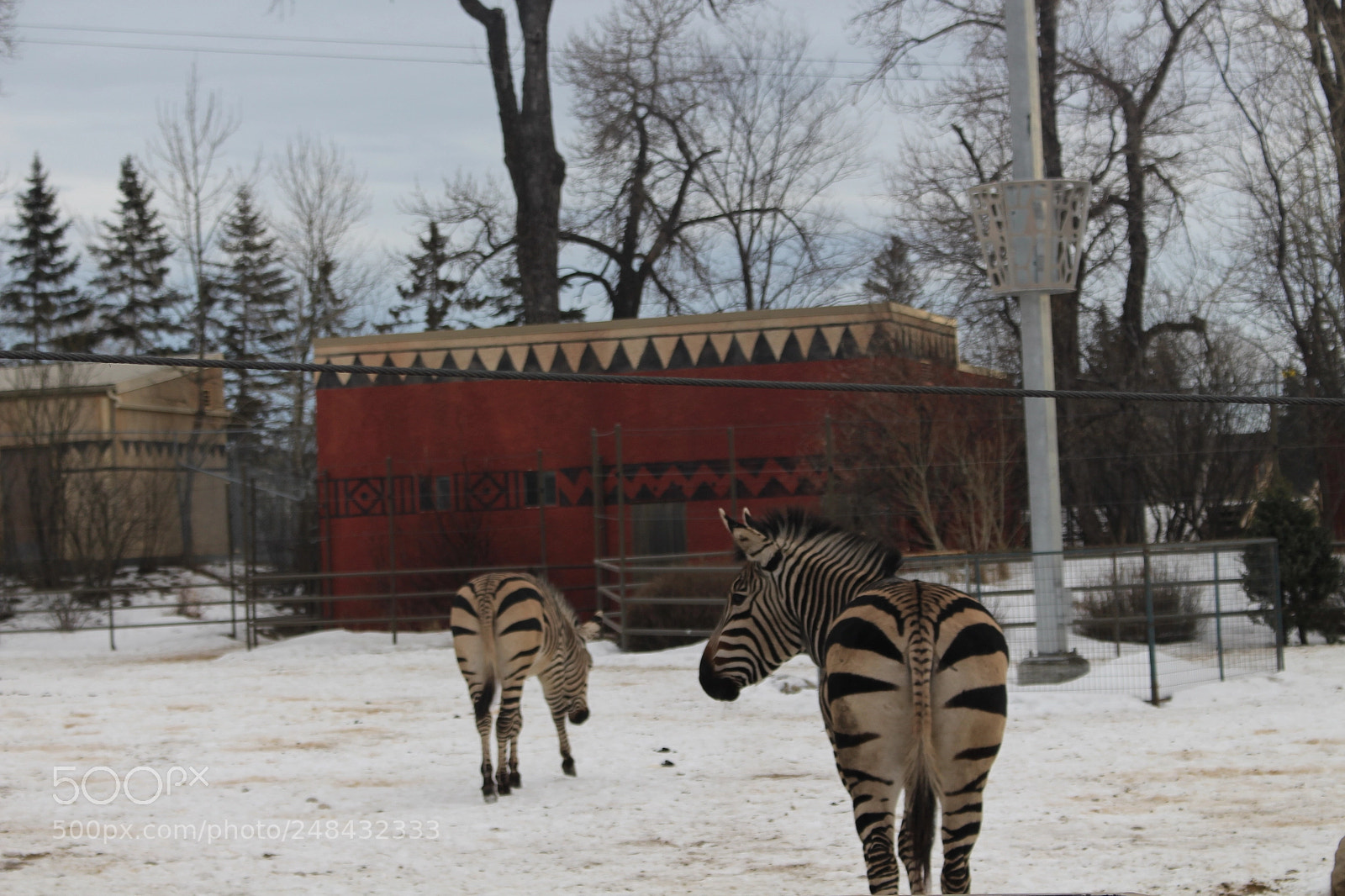 Canon EOS 700D (EOS Rebel T5i / EOS Kiss X7i) sample photo. Img photography