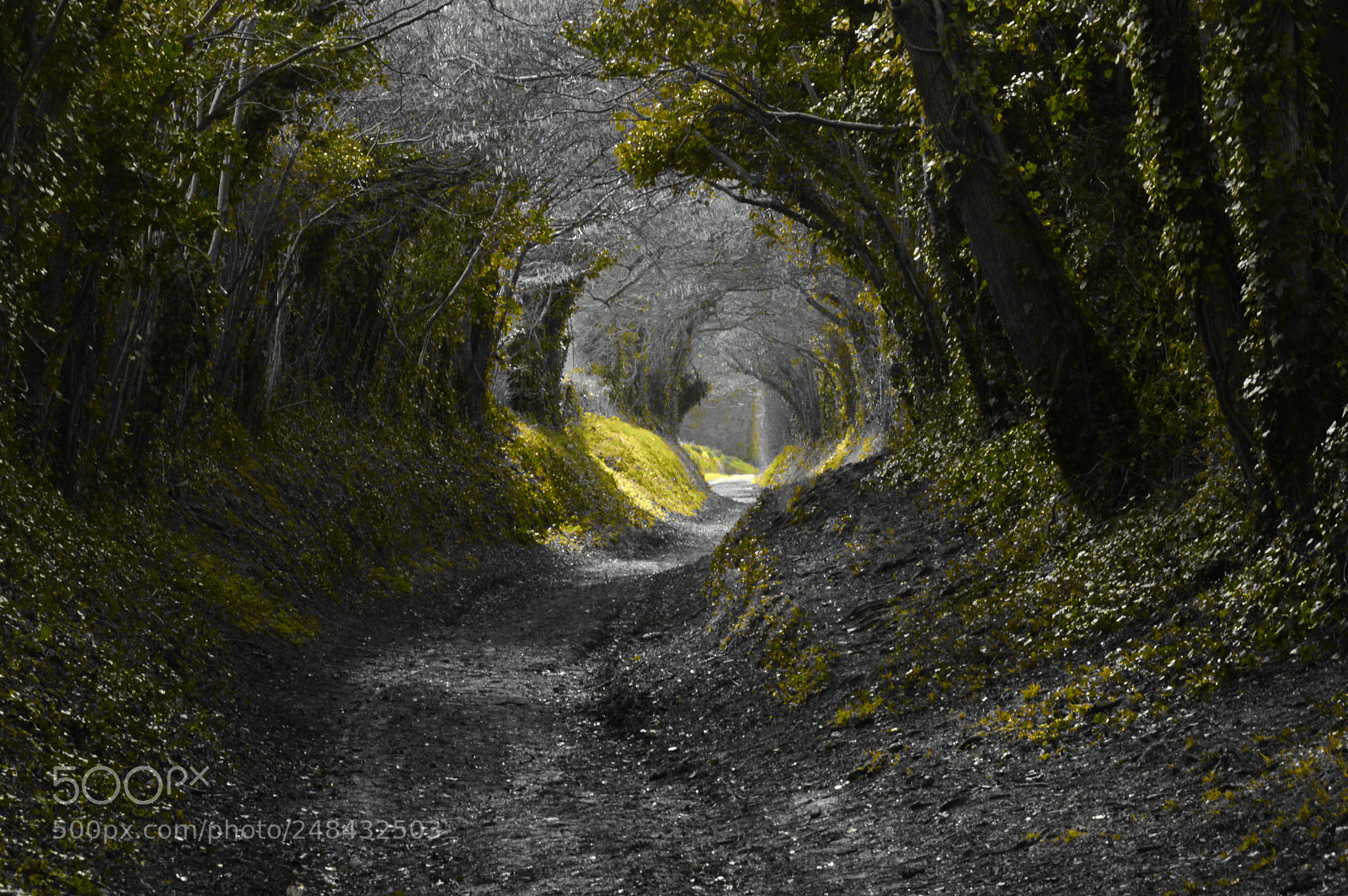Nikon D3200 sample photo. Morning walk photography