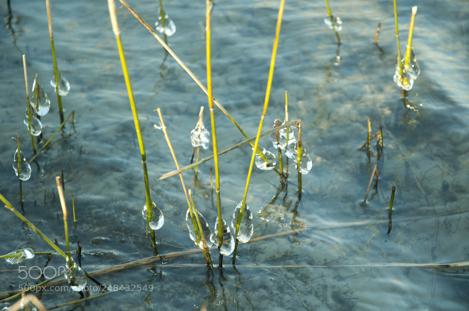 Nikon D300 sample photo. Natural ice-sticks photography