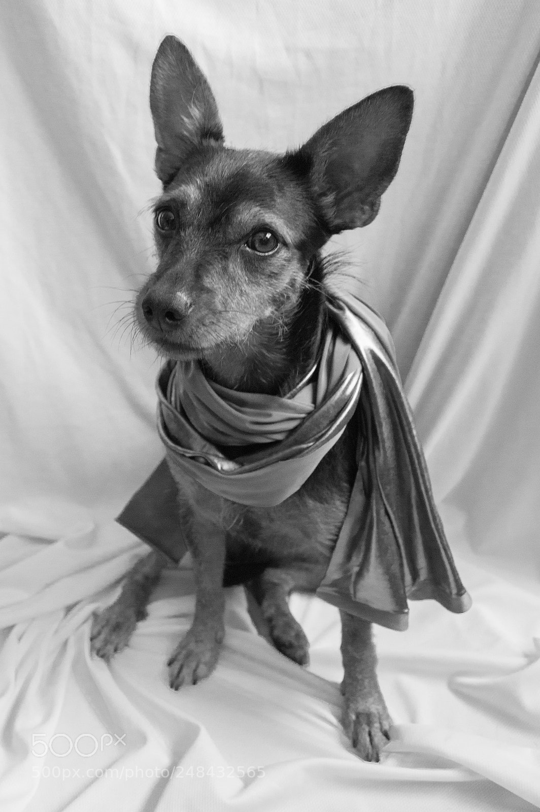 Nikon D3200 sample photo. Leeloo photography