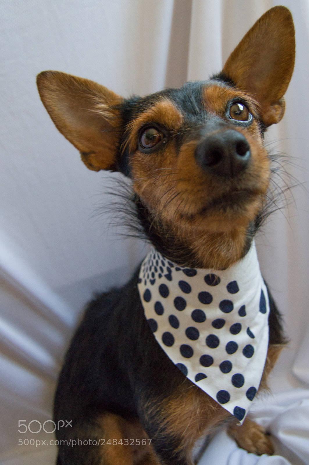 Nikon D3200 sample photo. Leeloo photography