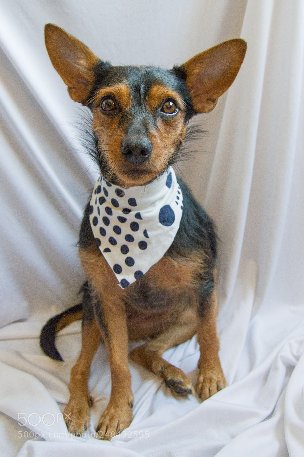 Nikon D3200 sample photo. Leeloo photography