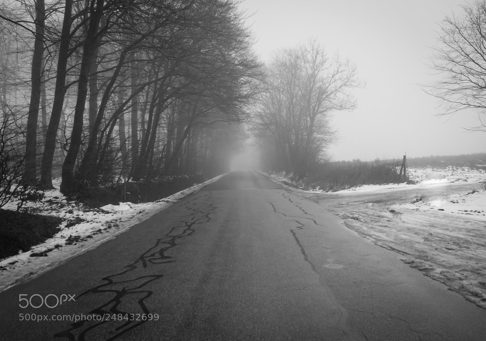 Sony a7 II sample photo. Grey morning photography