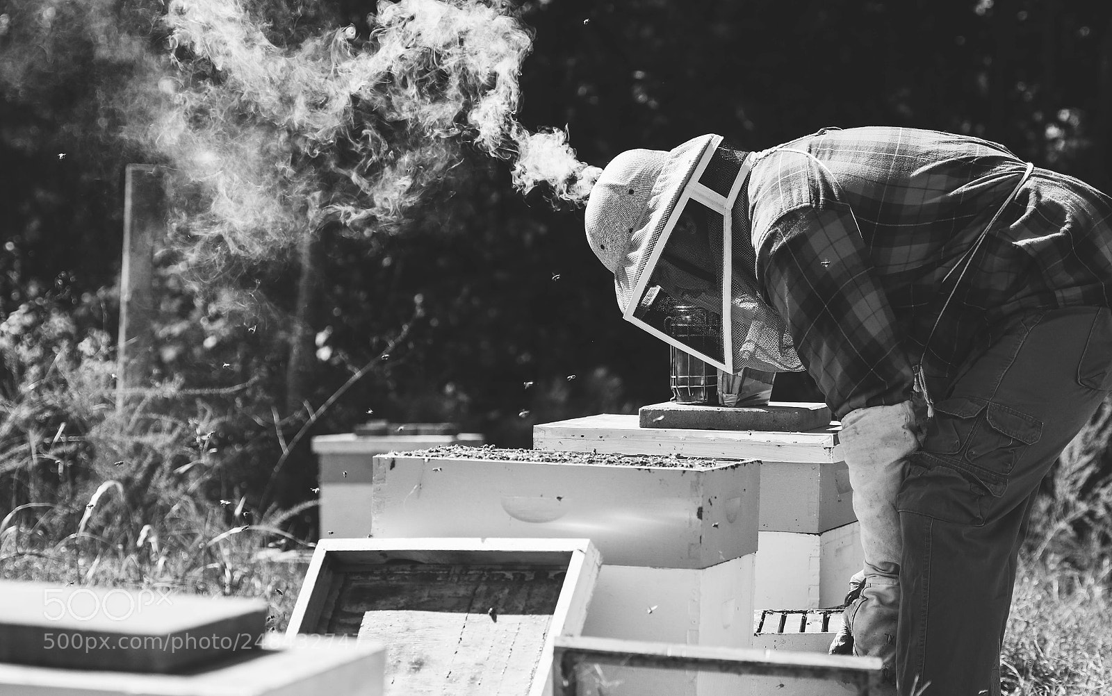 Canon EOS 80D sample photo. Smoke out photography