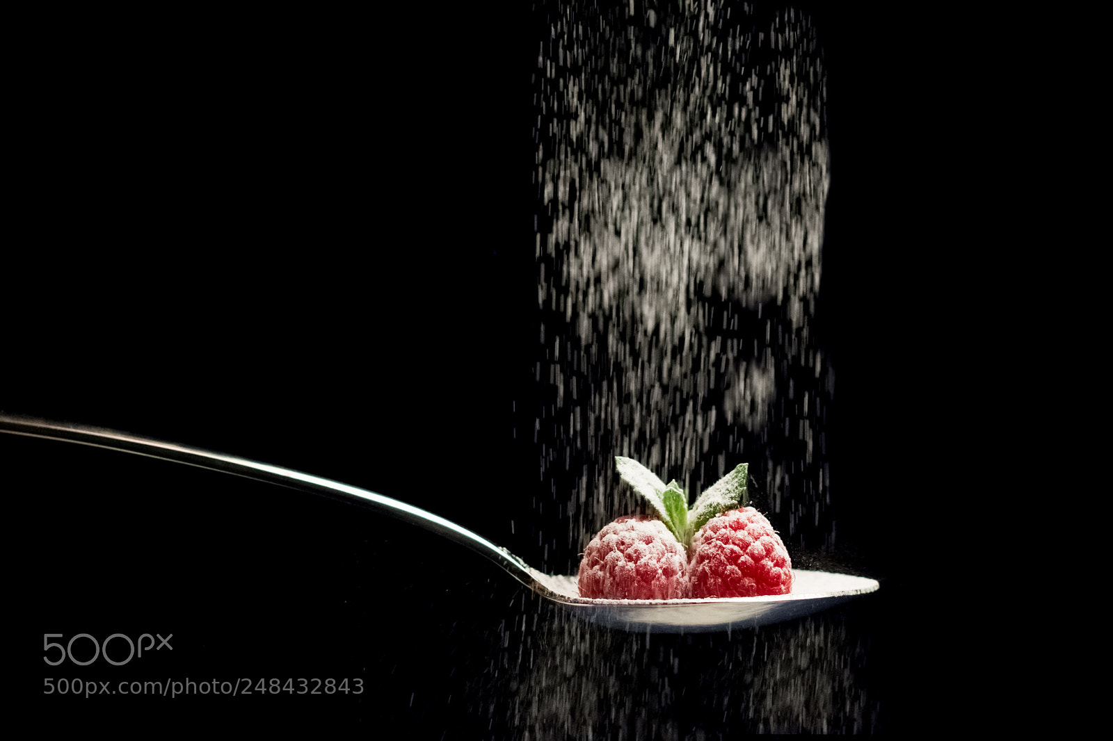 Nikon D7200 sample photo. Raspberry rain photography
