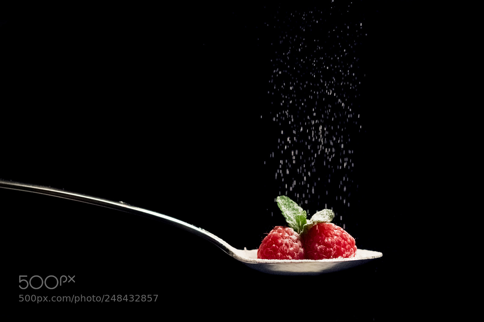 Nikon D7200 sample photo. Raspberry rain photography