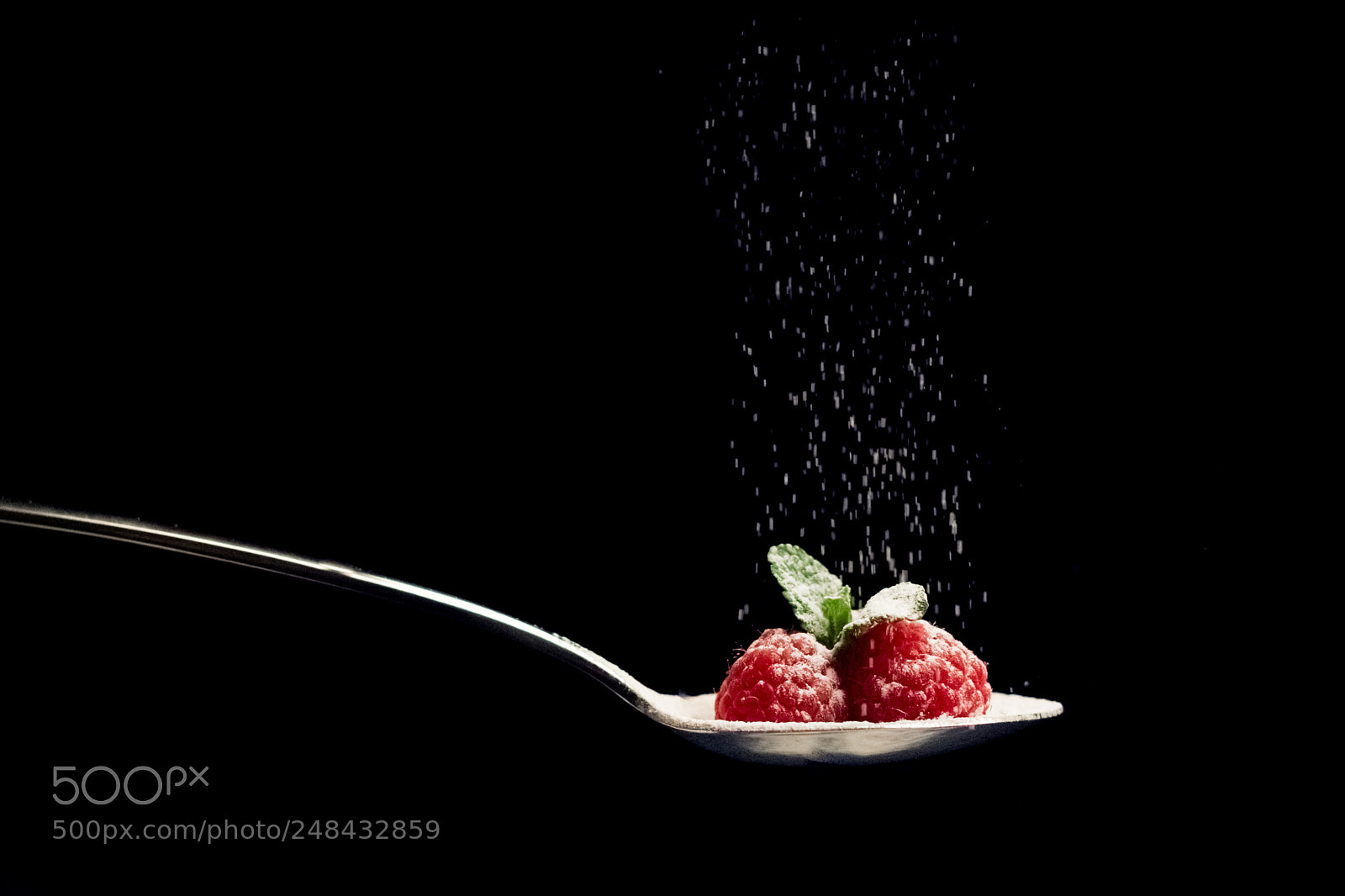 Nikon D7200 sample photo. Raspberry rain photography