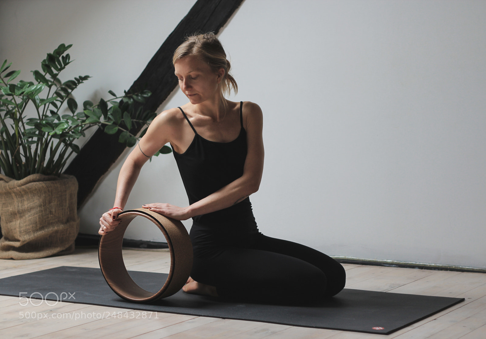 Canon EOS 600D (Rebel EOS T3i / EOS Kiss X5) sample photo. Yoga wheel photography