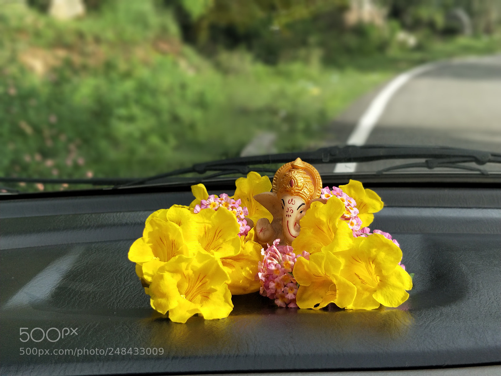 OnePlus 5 sample photo. Untitled photography
