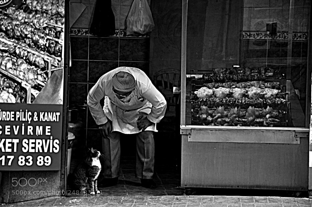 Nikon D90 sample photo. Butcher and cat photography