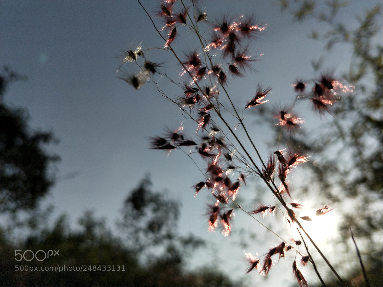 OnePlus 5 sample photo. Untitled photography