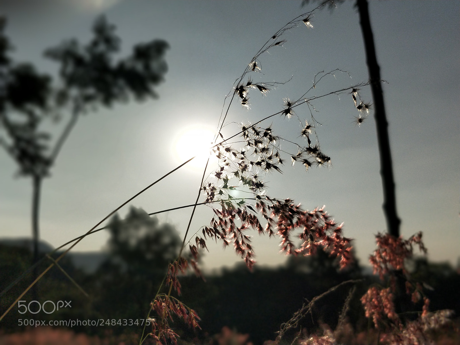 OnePlus 5 sample photo. Untitled photography