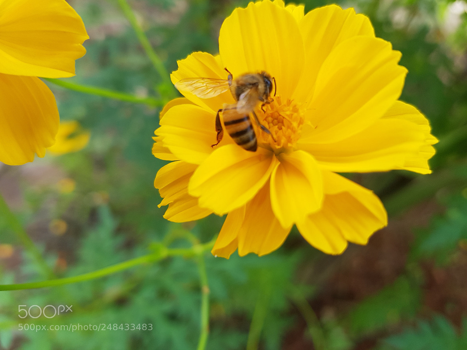 Samsung Galaxy S7 Edge sample photo. Untitled photography