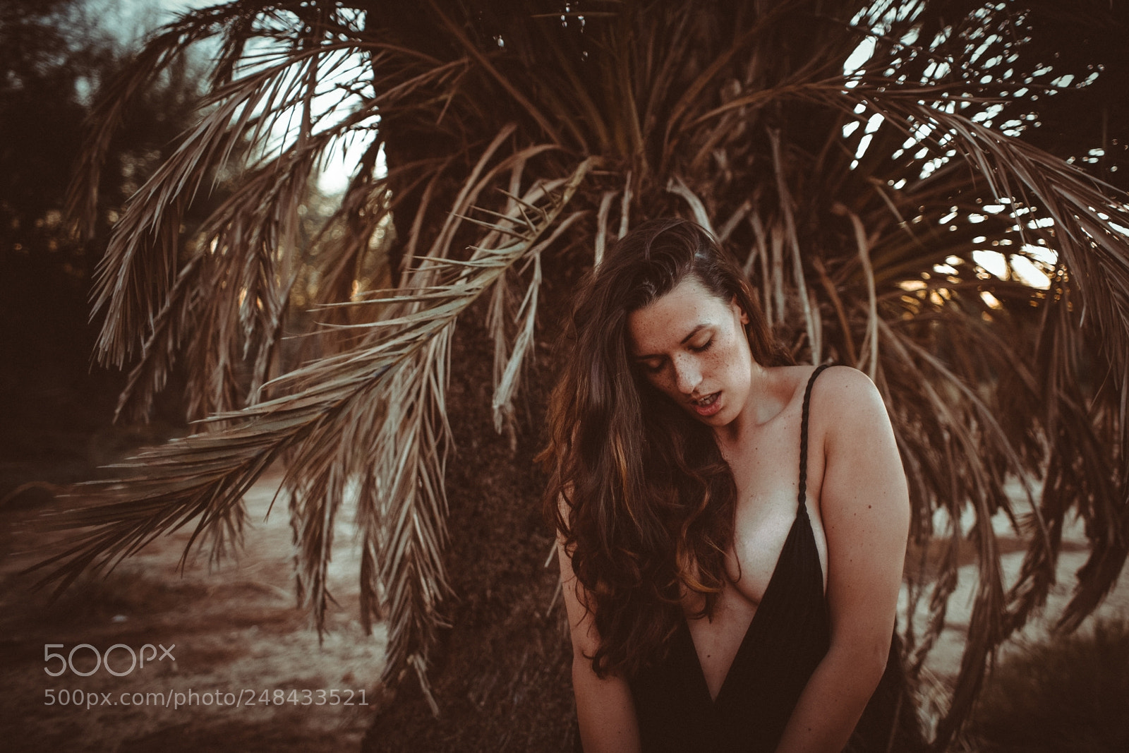 Sony a7R II sample photo. Dani photography