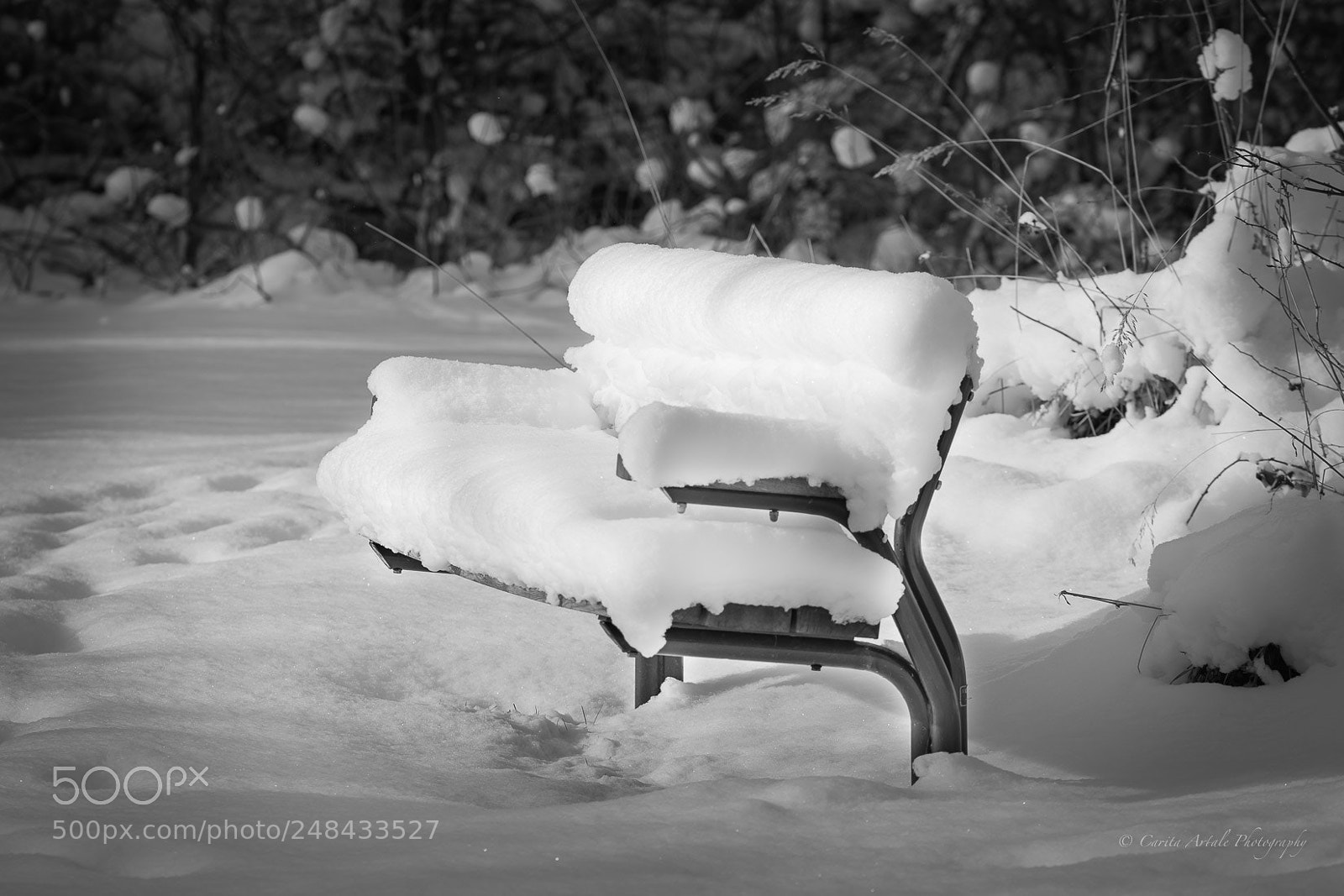 Nikon D500 sample photo. Covered in snow photography