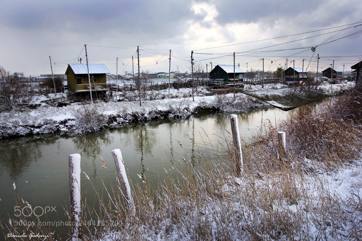 Canon EOS 550D (EOS Rebel T2i / EOS Kiss X4) sample photo. Frozen afternoon photography