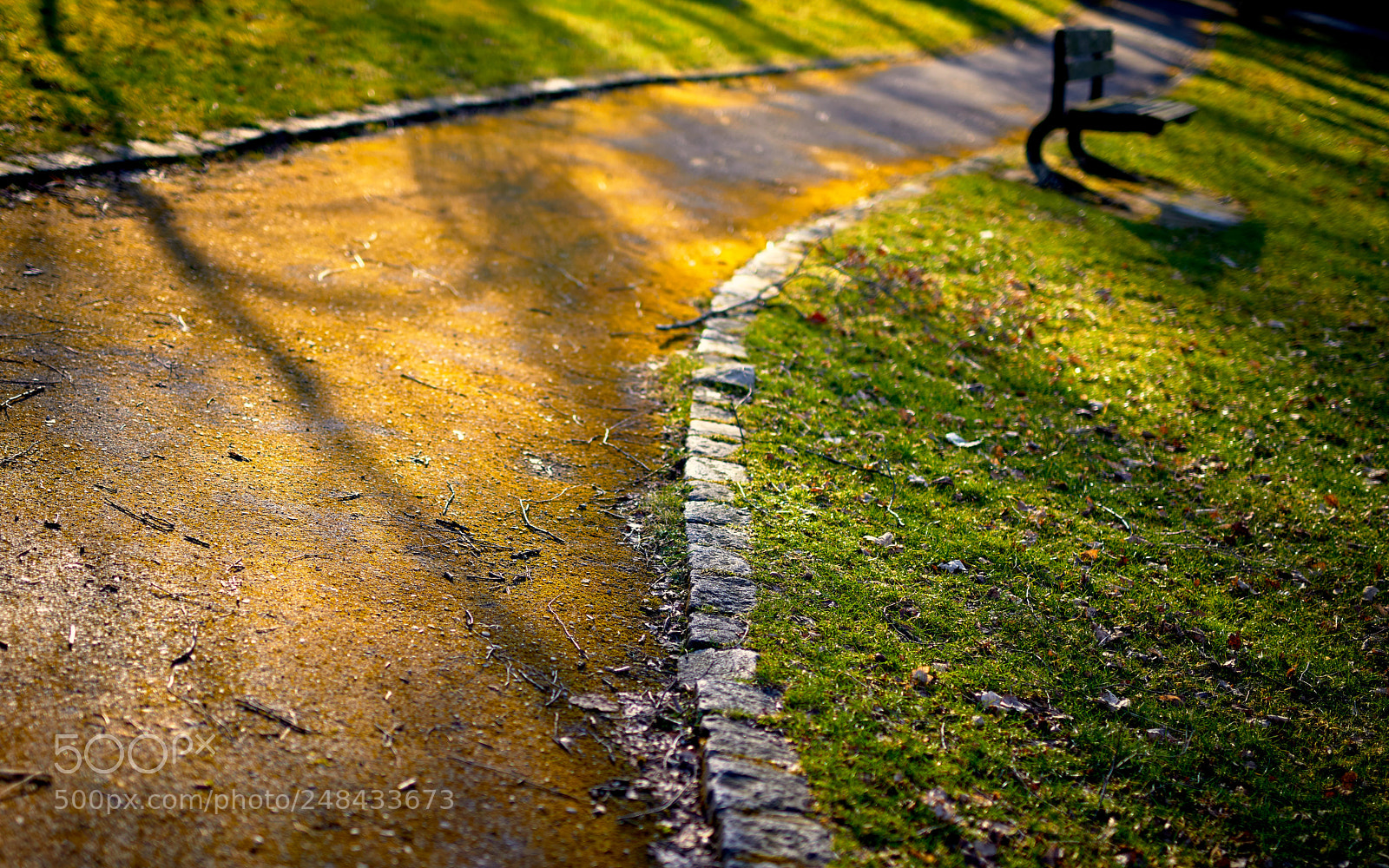 Nikon D810 sample photo. Park bench_2009 1.jpg photography