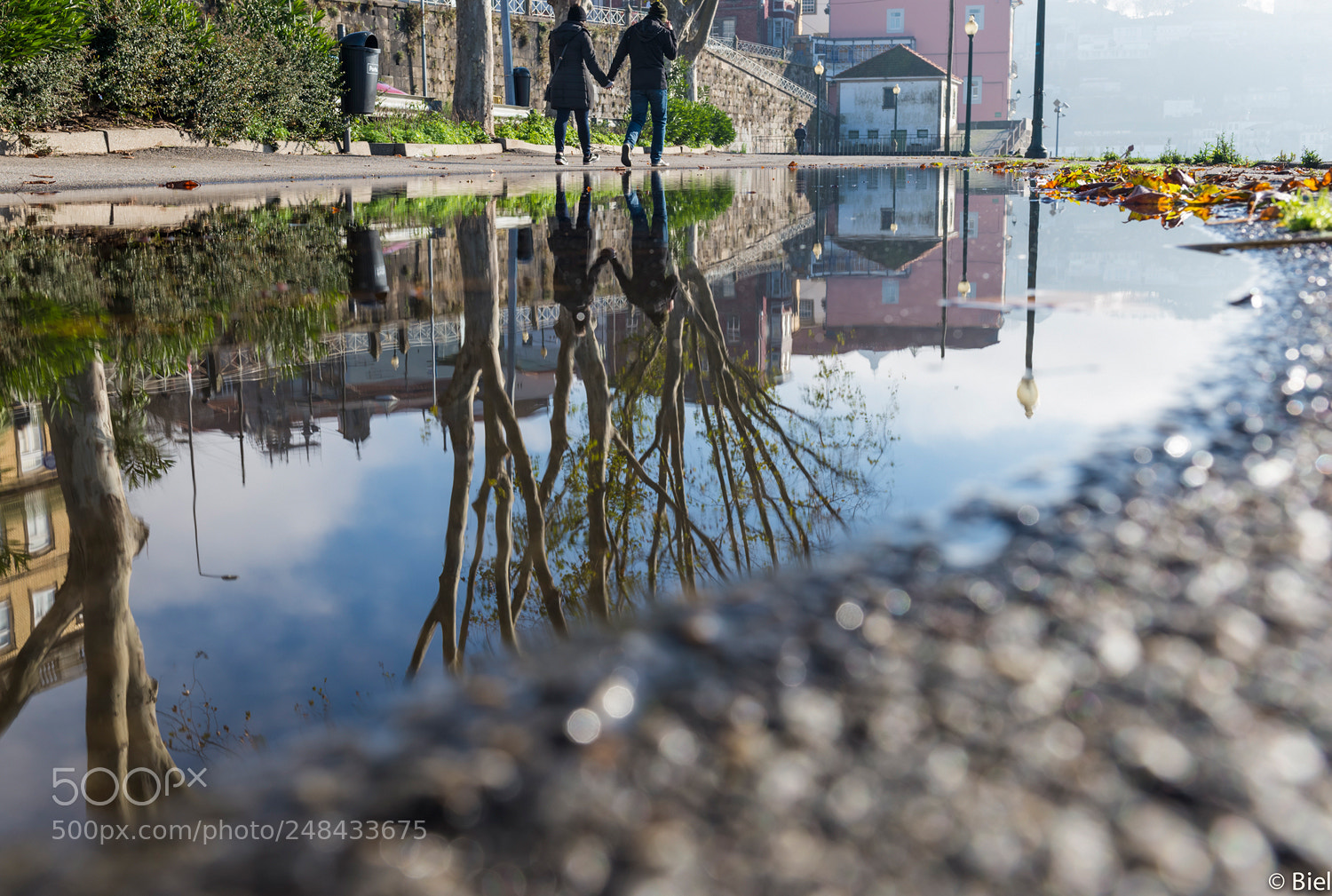 Nikon D610 sample photo. Reflex i photography