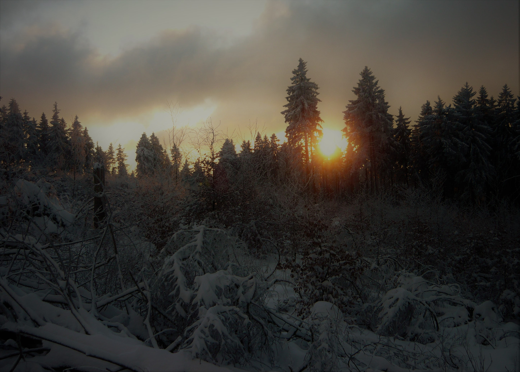 Panasonic Lumix DMC-LS80 sample photo. After a sunny winterday photography