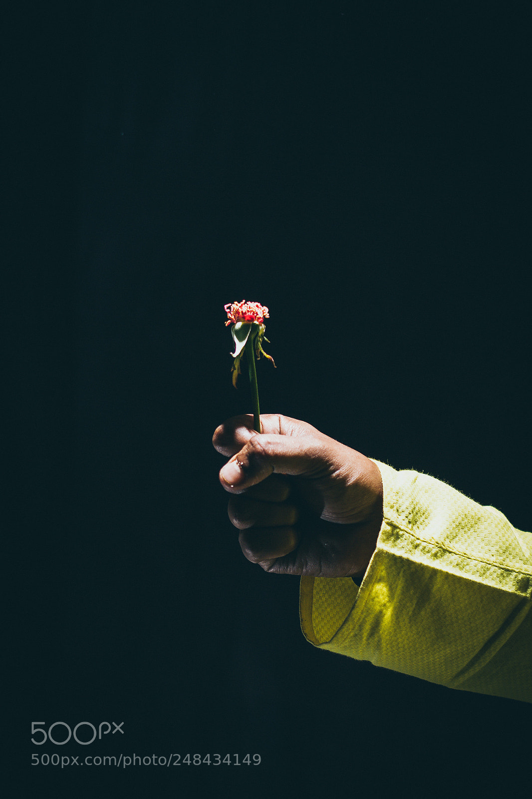 Canon EOS 7D sample photo. Lost love photography