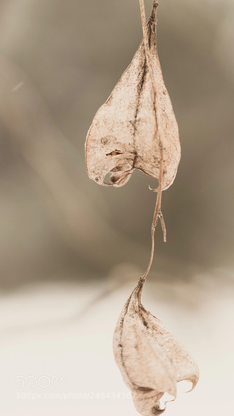 Nikon D5300 sample photo. Ich gr sse herz-lich photography
