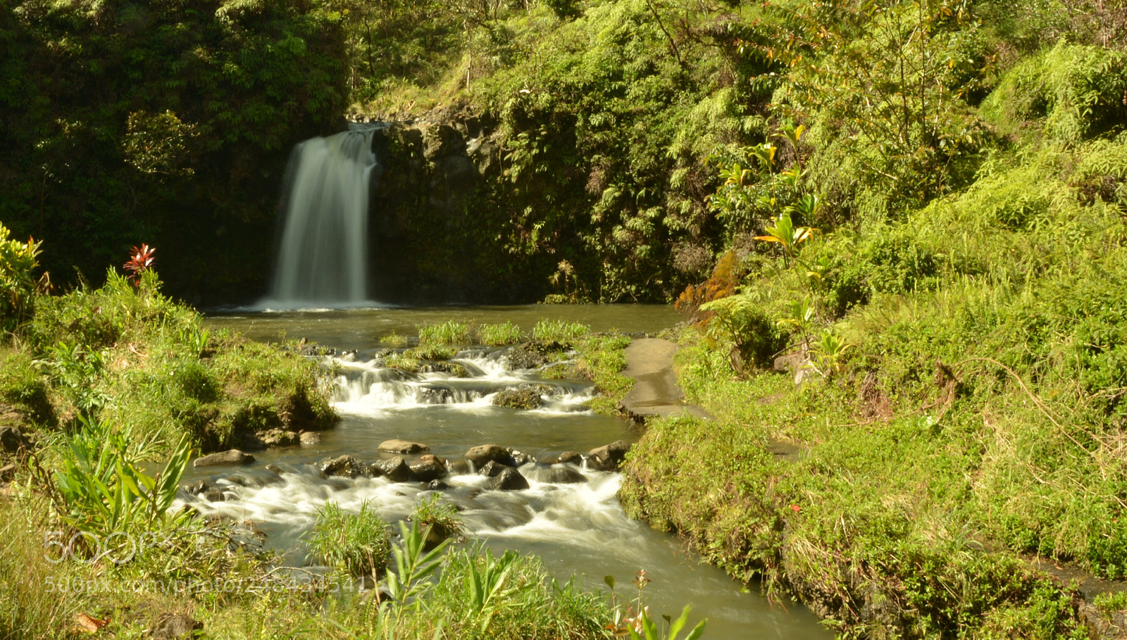 Nikon D7100 sample photo. Pua'a ka falls.jpg photography