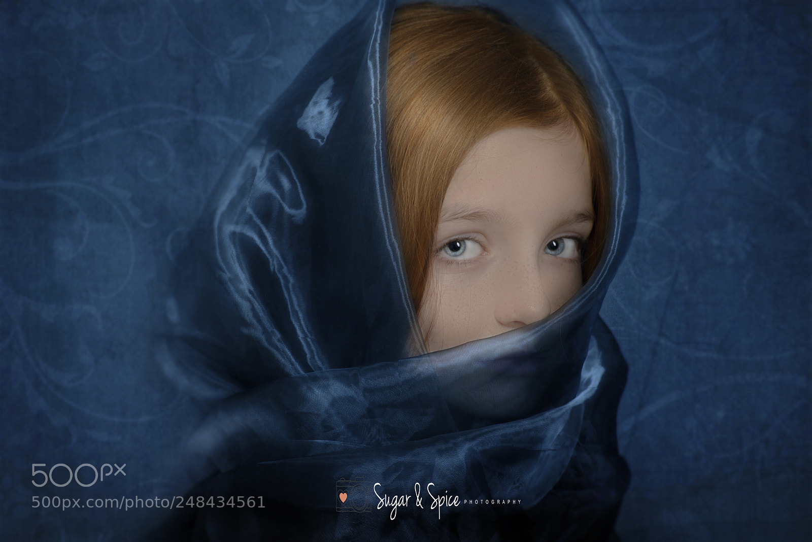 Nikon D800 sample photo. Blue...x photography