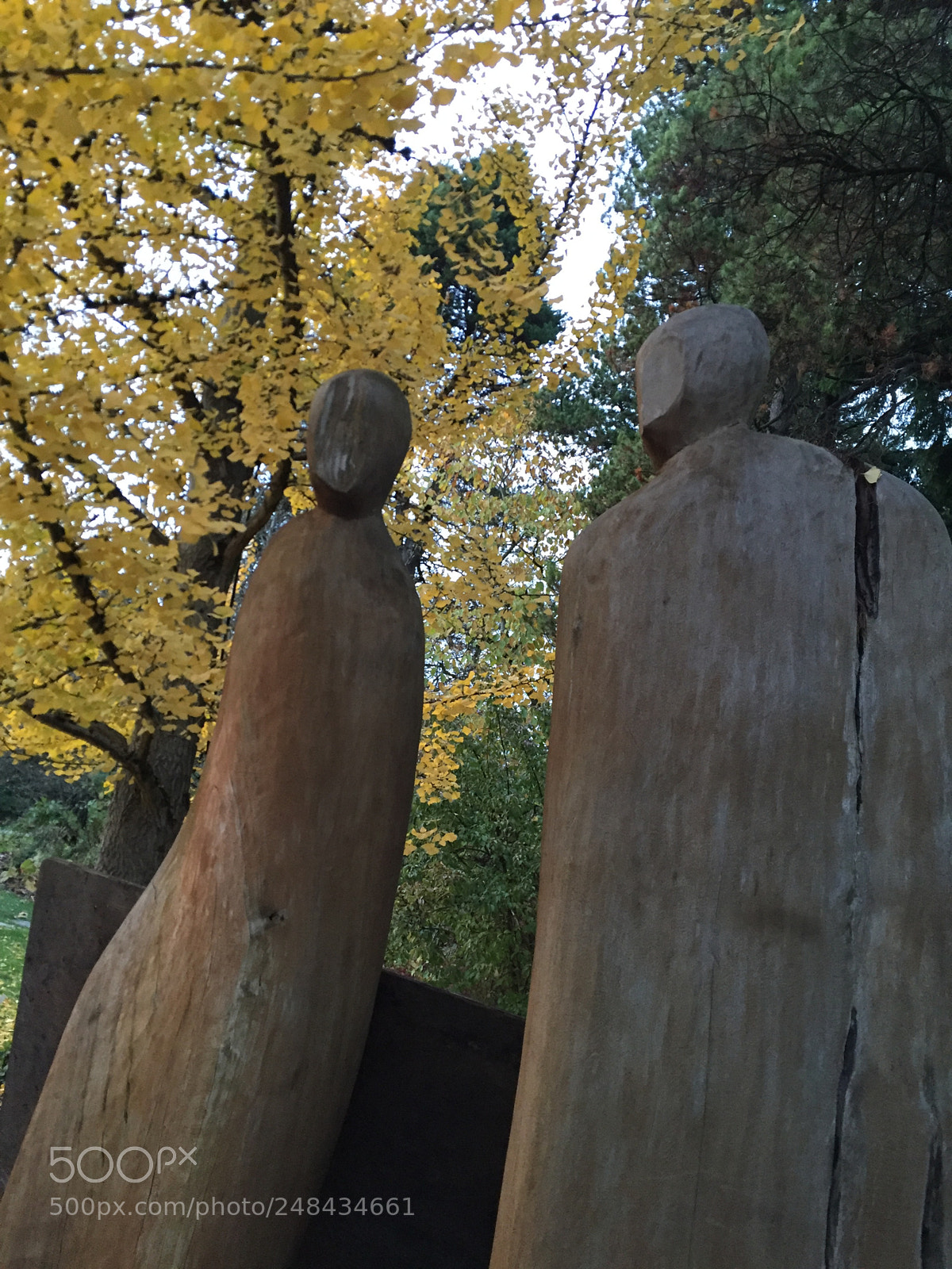 Apple iPhone 6 sample photo. Amor de madera photography