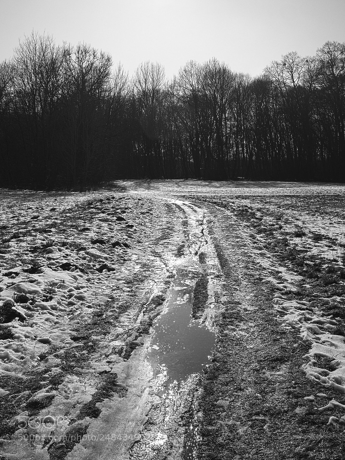 Olympus PEN E-PL5 sample photo. Field with ice photography