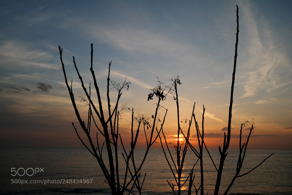 Samsung NX300 sample photo. ... photography