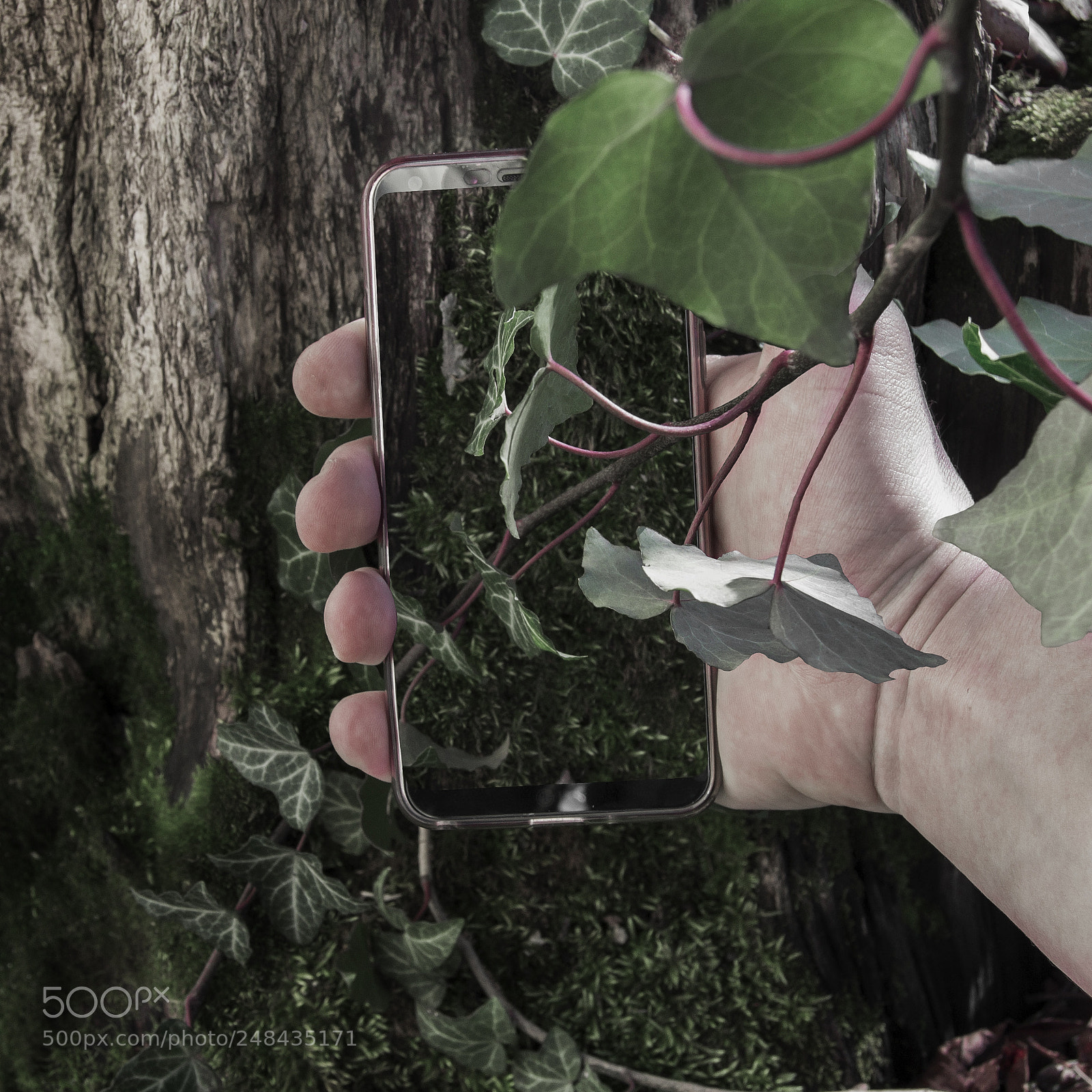 Nikon D3100 sample photo. Насквозь photography
