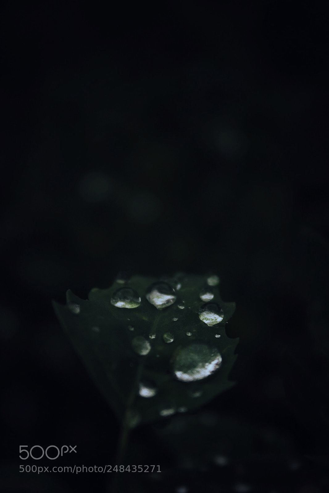 Canon EOS 600D (Rebel EOS T3i / EOS Kiss X5) sample photo. Water lights photography