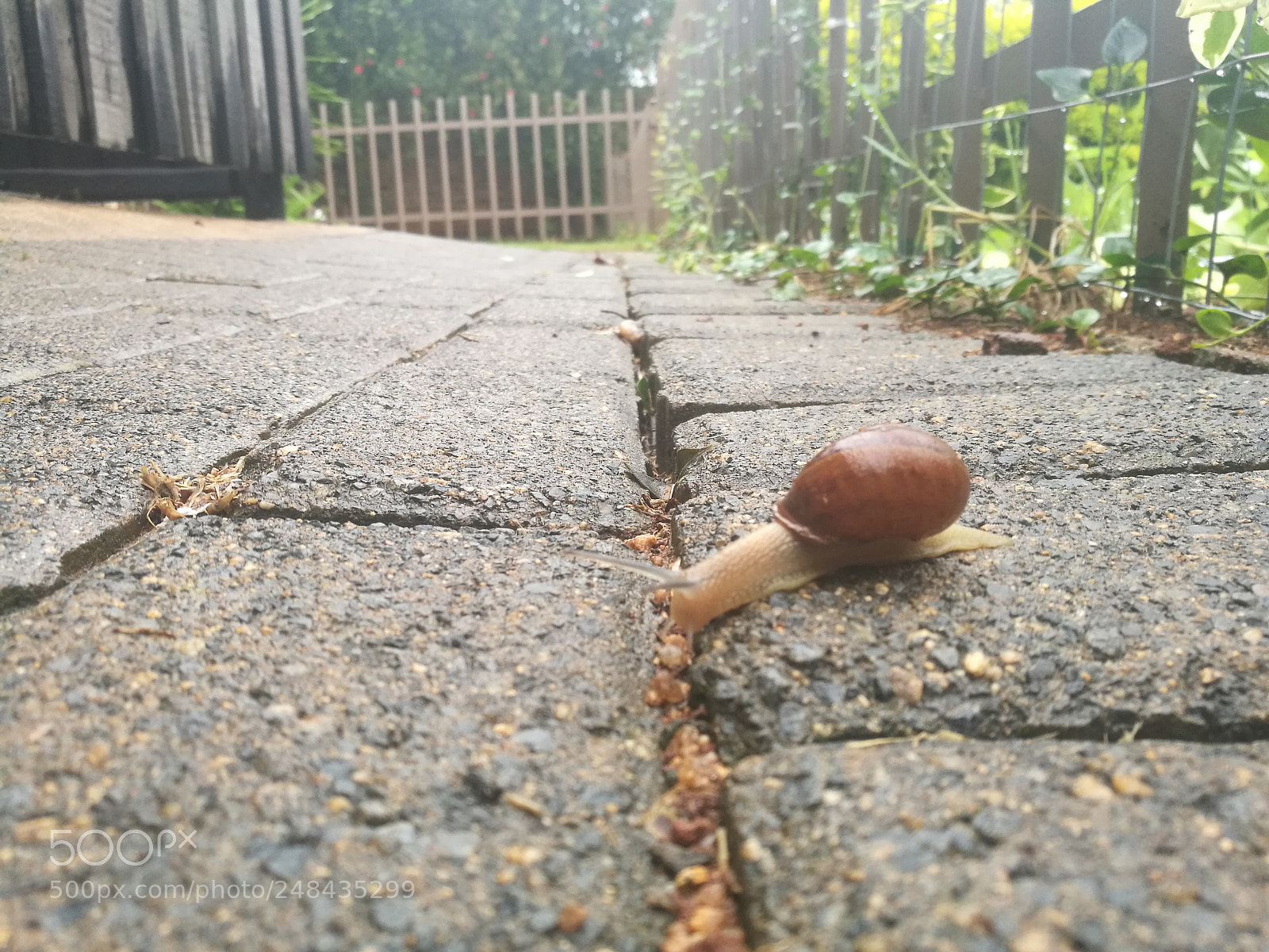 HUAWEI P9 sample photo. Slowday photography