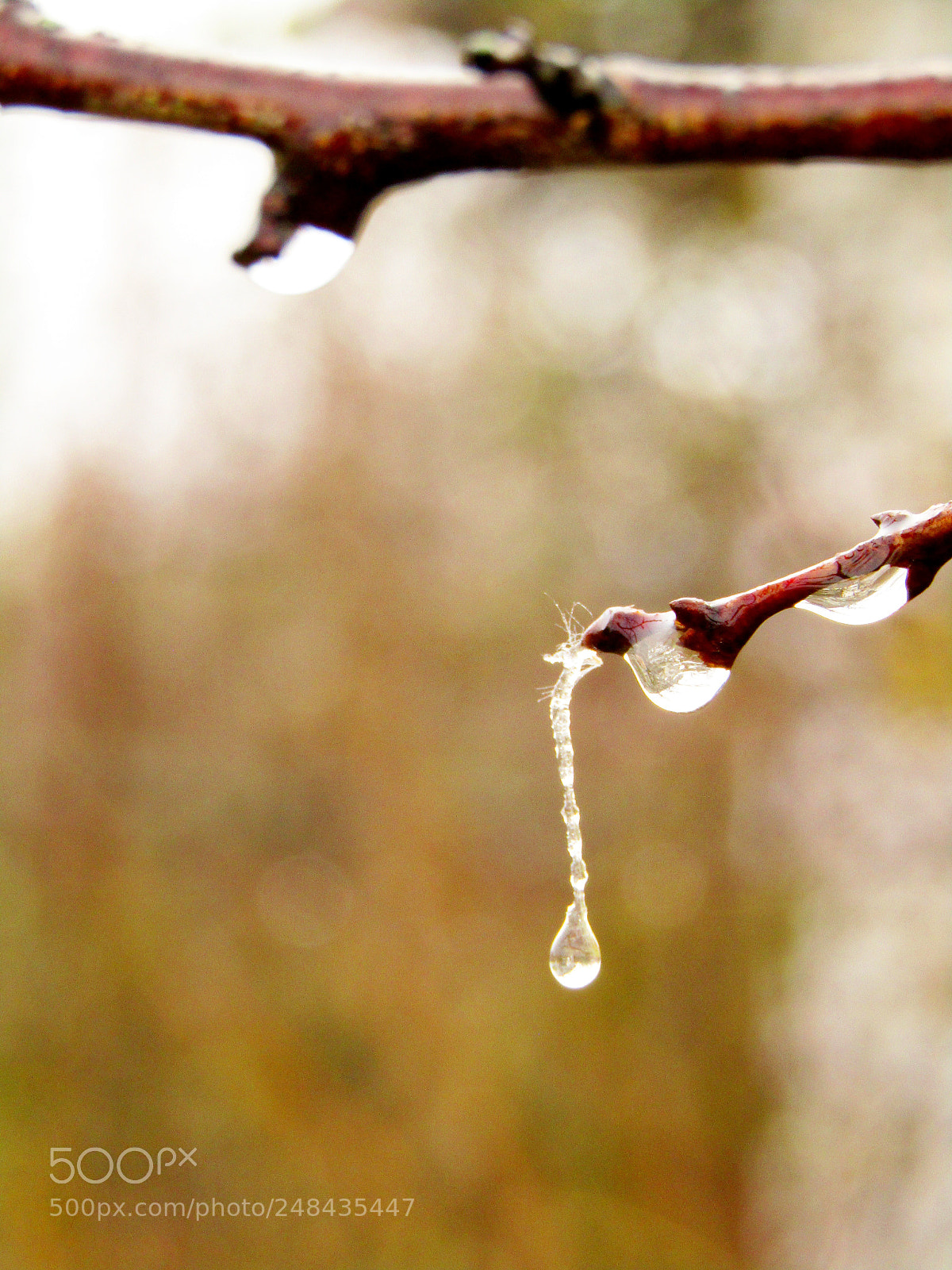 Canon PowerShot SX410 IS sample photo. Frozen drop.  photography