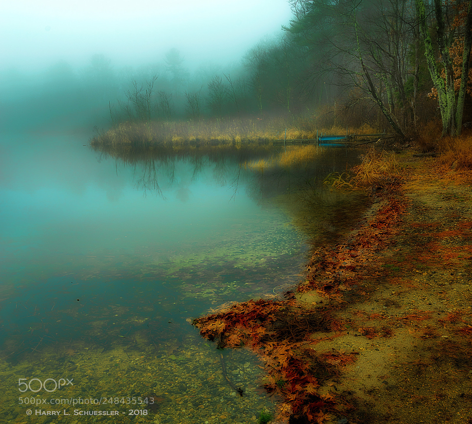 Nikon D800E sample photo. Greenwood pond in the photography