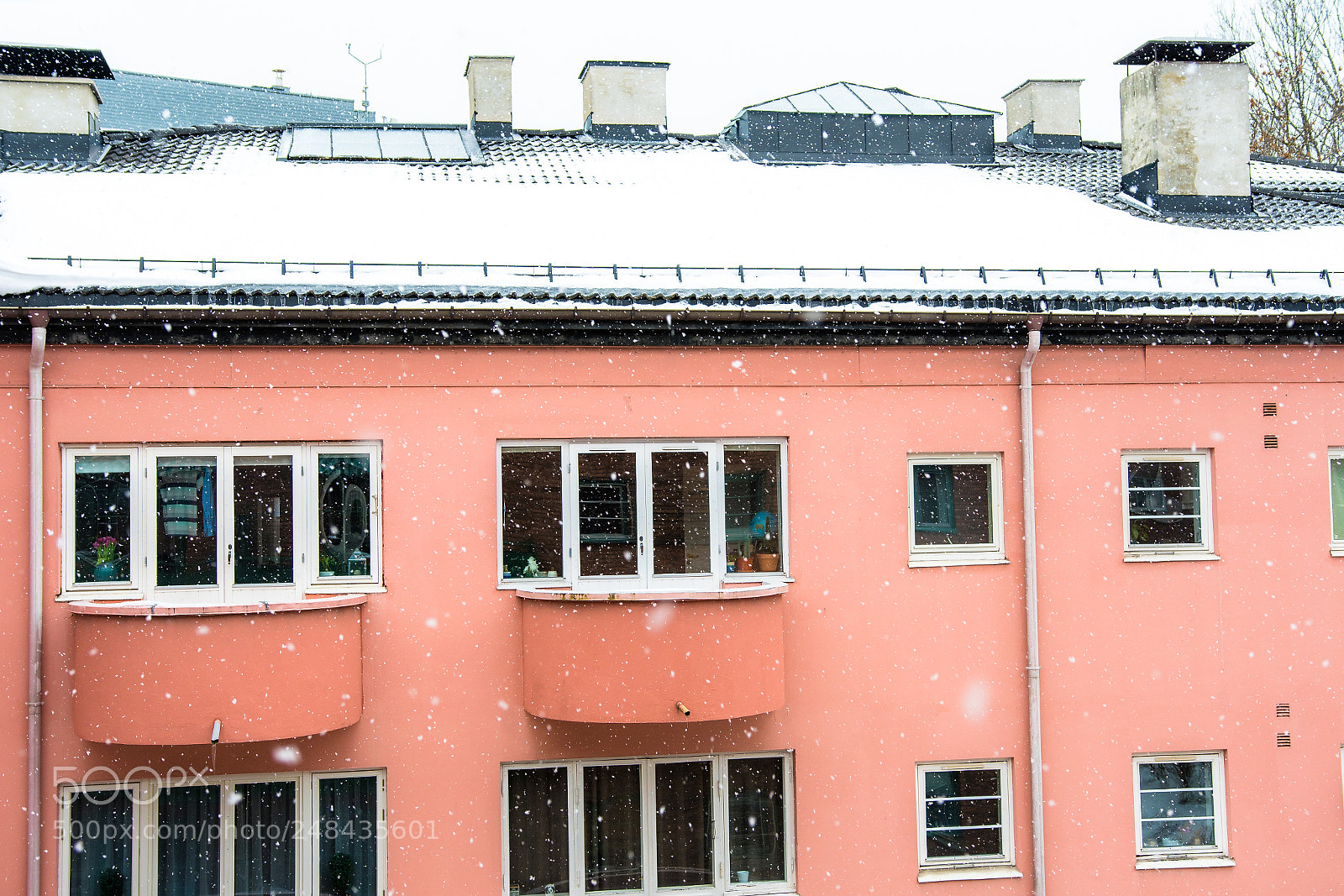 Nikon D500 sample photo. Snowy day photography
