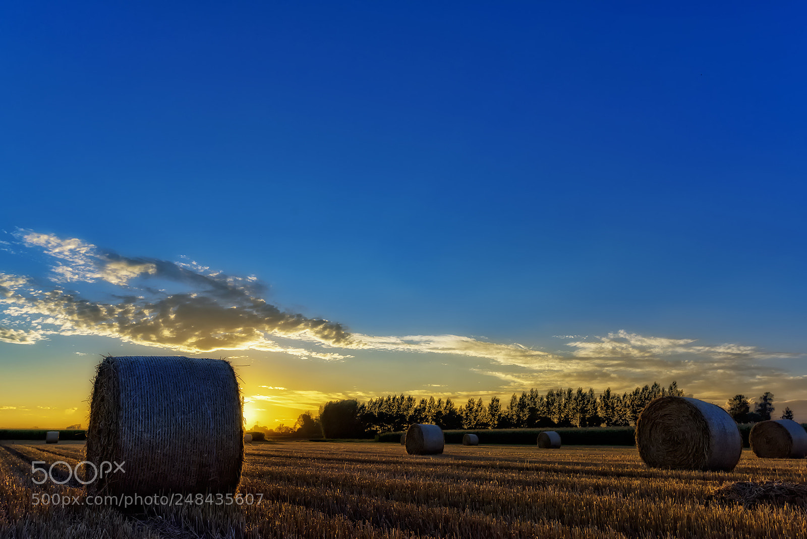 Nikon D810 sample photo. A summer sunset photography