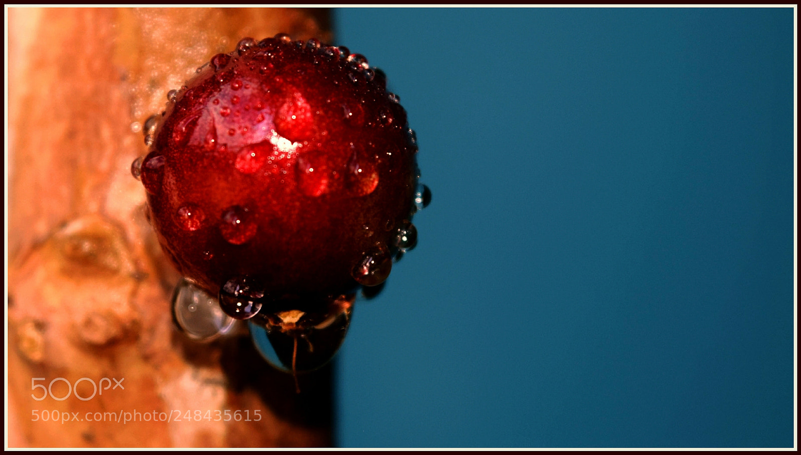 Nikon D5300 sample photo. "buenas... ;-)" photography