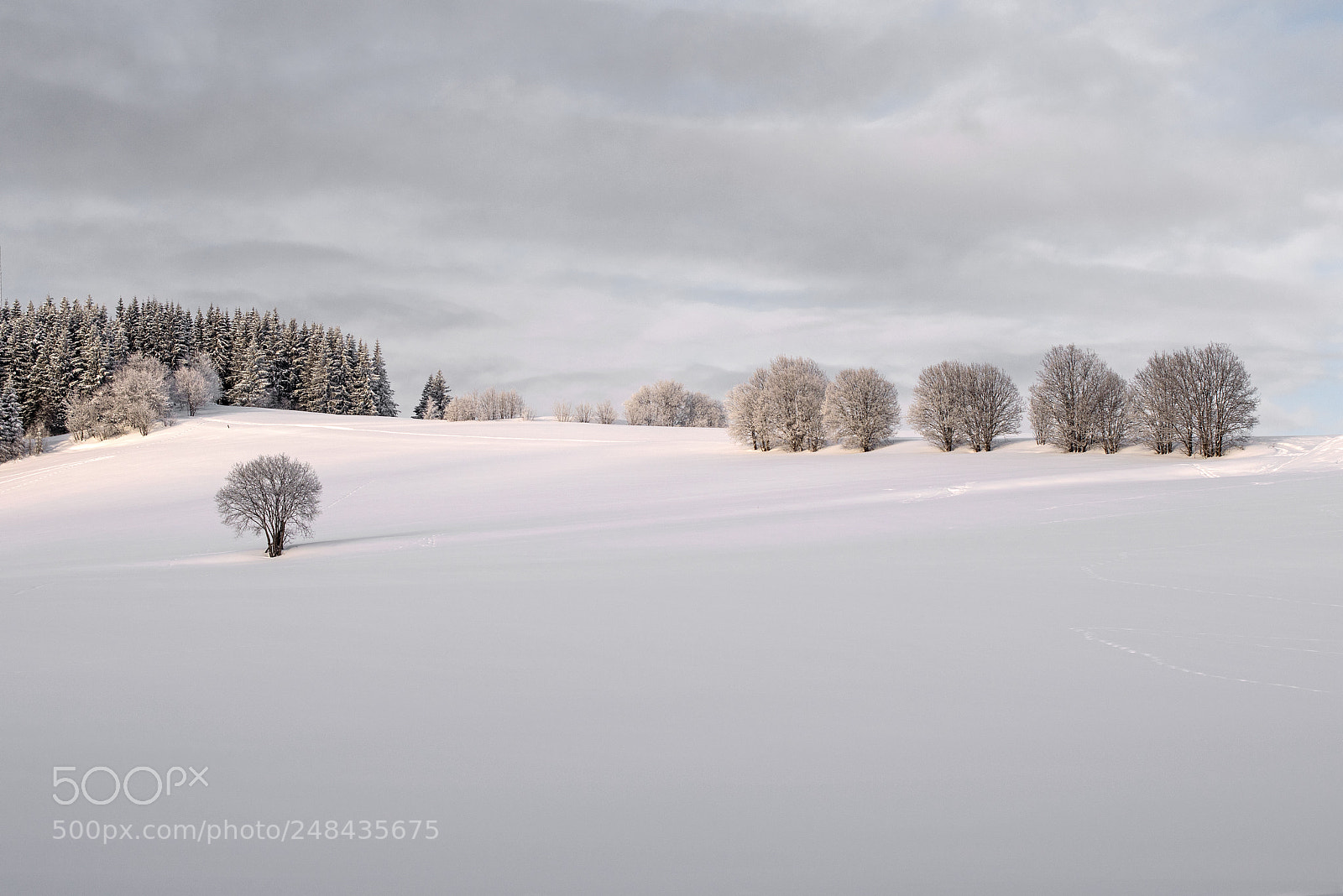 Nikon D5300 sample photo. Landscape photography