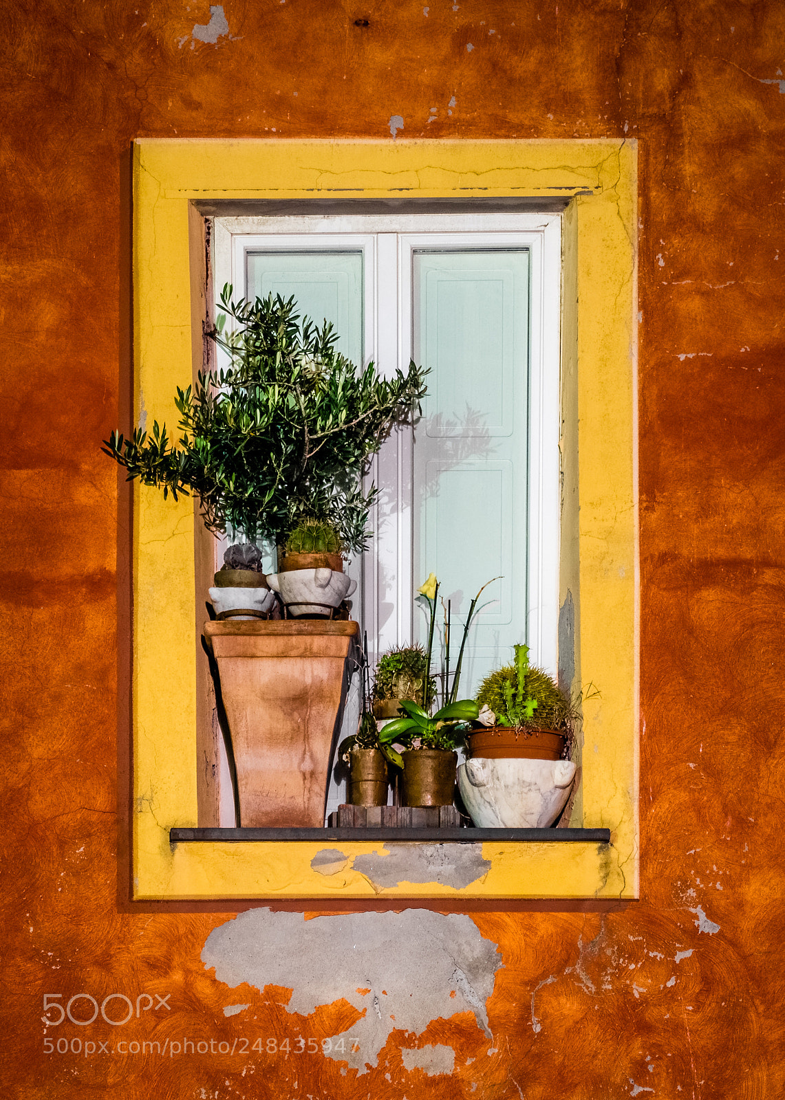 Olympus OM-D E-M5 sample photo. Camogli window photography