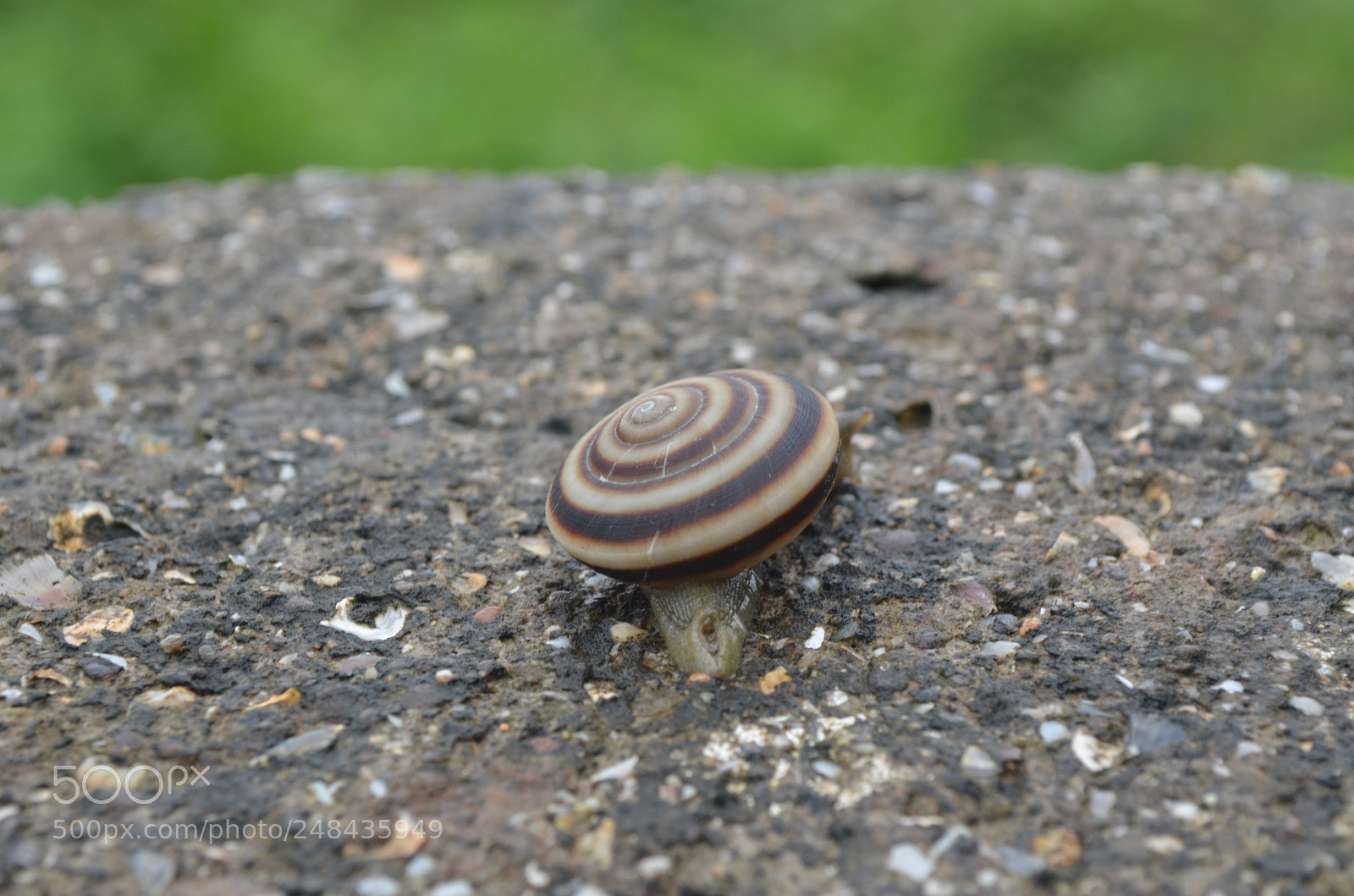 Nikon D5100 sample photo. Slow & steady photography