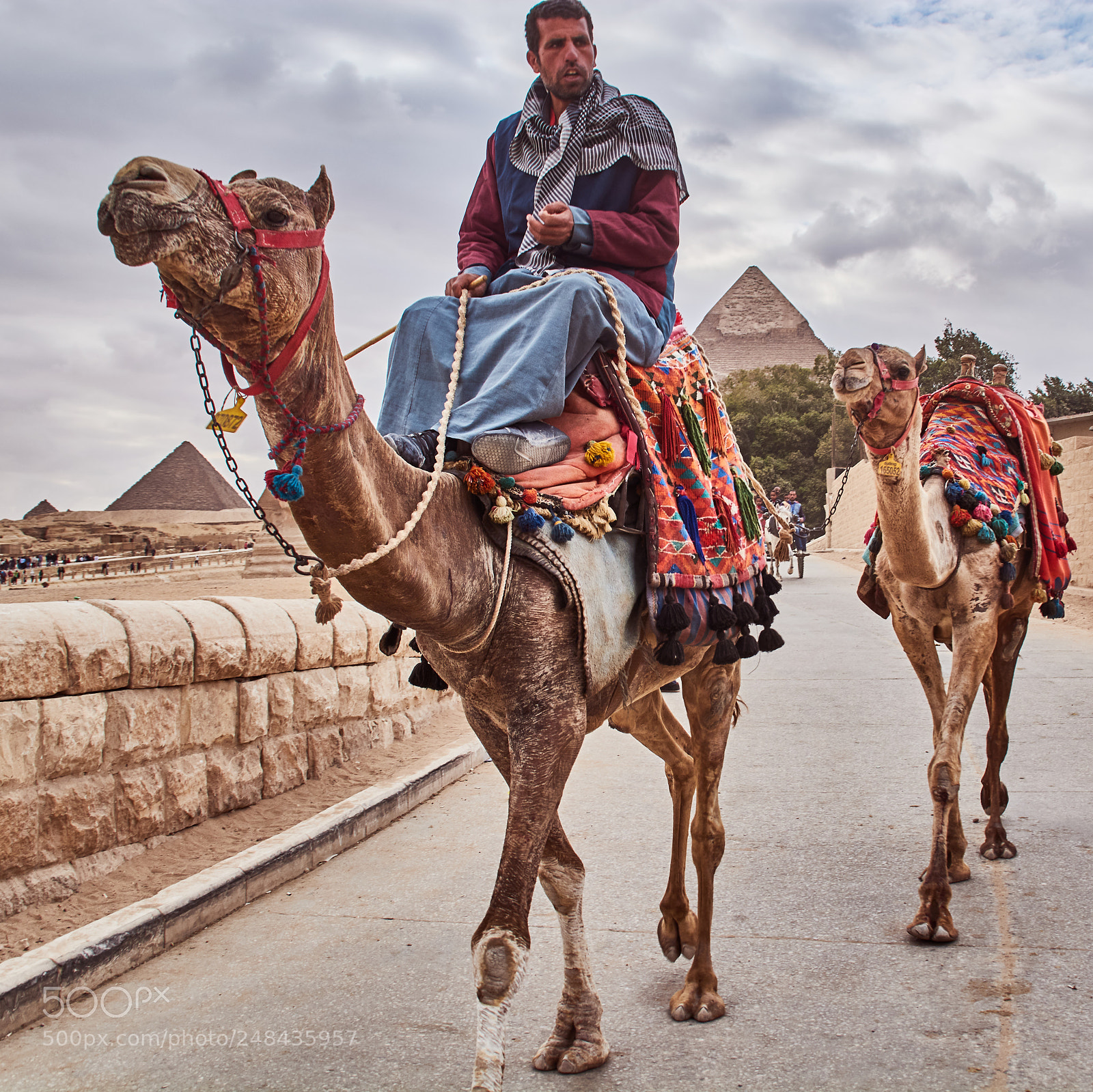Nikon D5200 sample photo. Bedouin photography