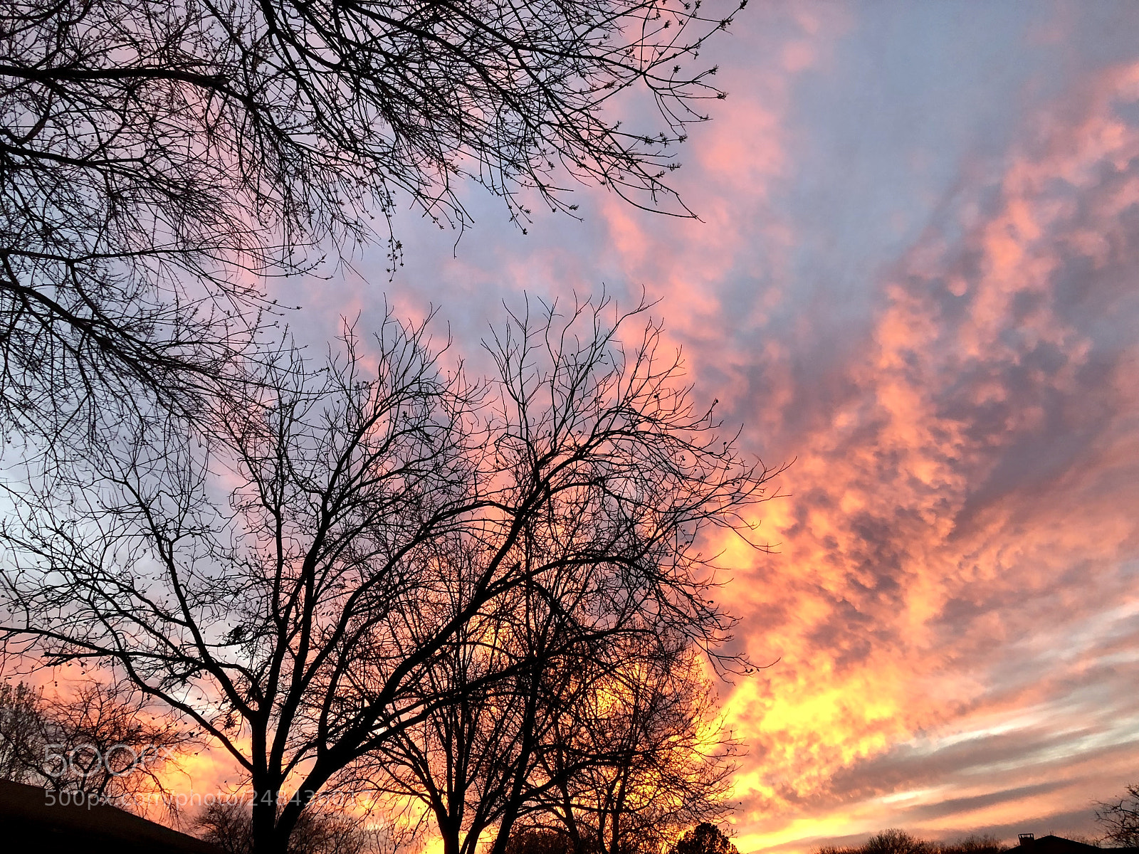 Apple iPhone X sample photo. Outlines on sky photography